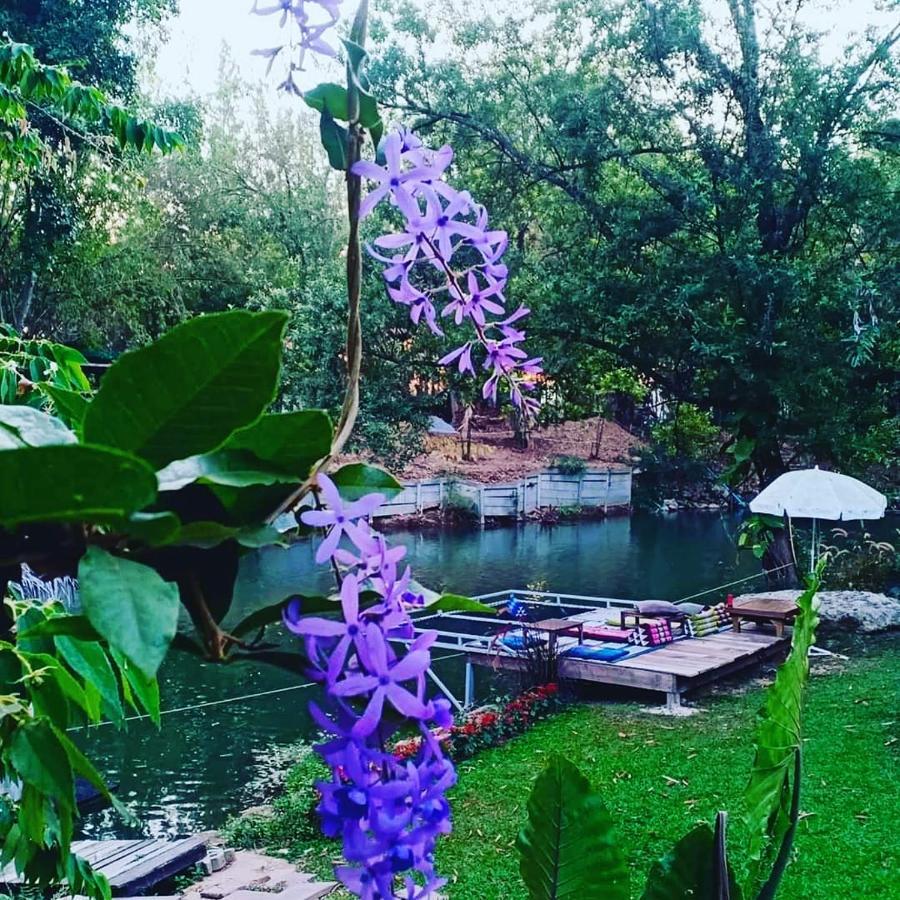 Willa Brookhouse At Khaoyai Ban Khanong Phra Klang Zewnętrze zdjęcie